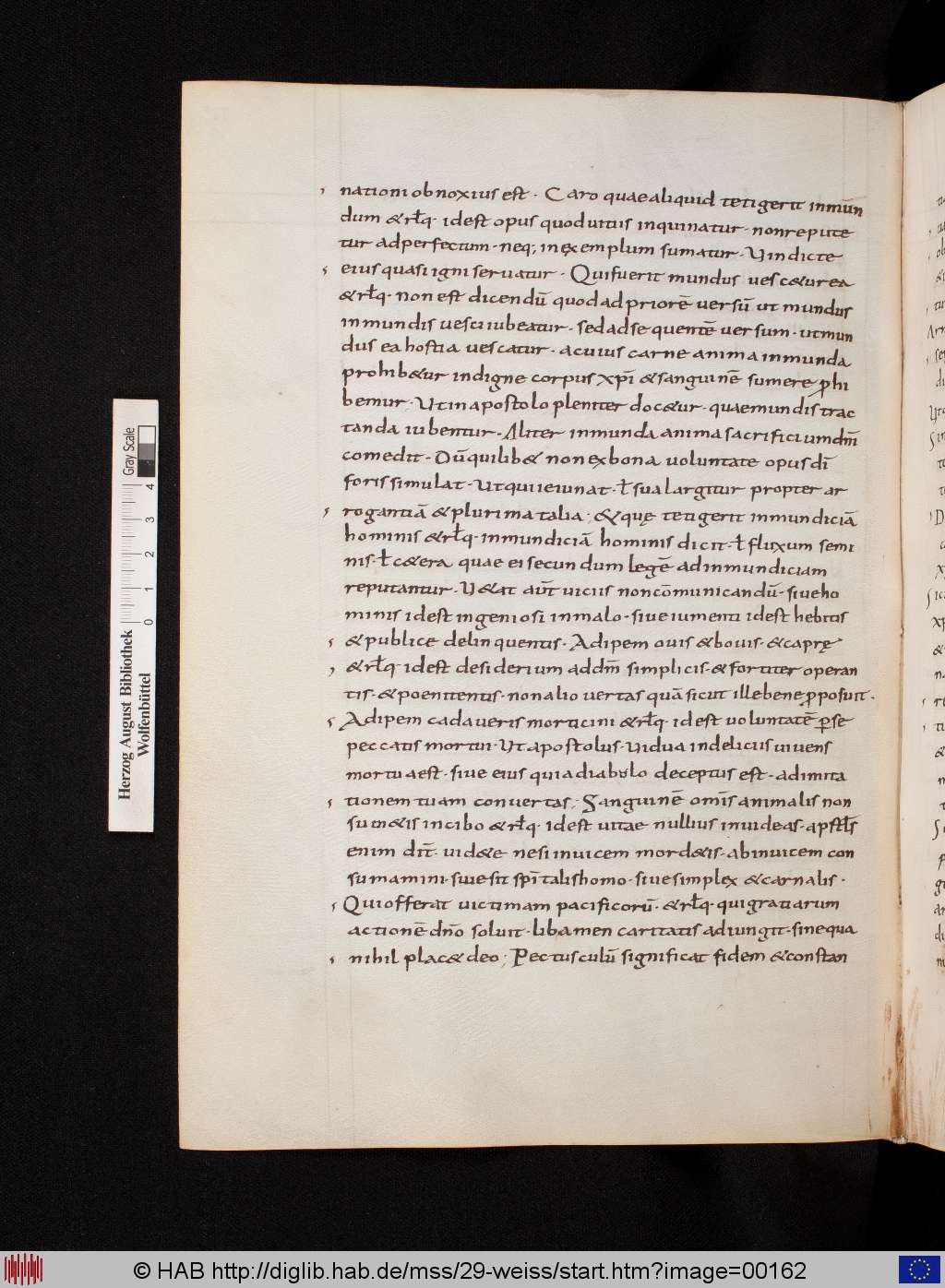 http://diglib.hab.de/mss/29-weiss/00162.jpg