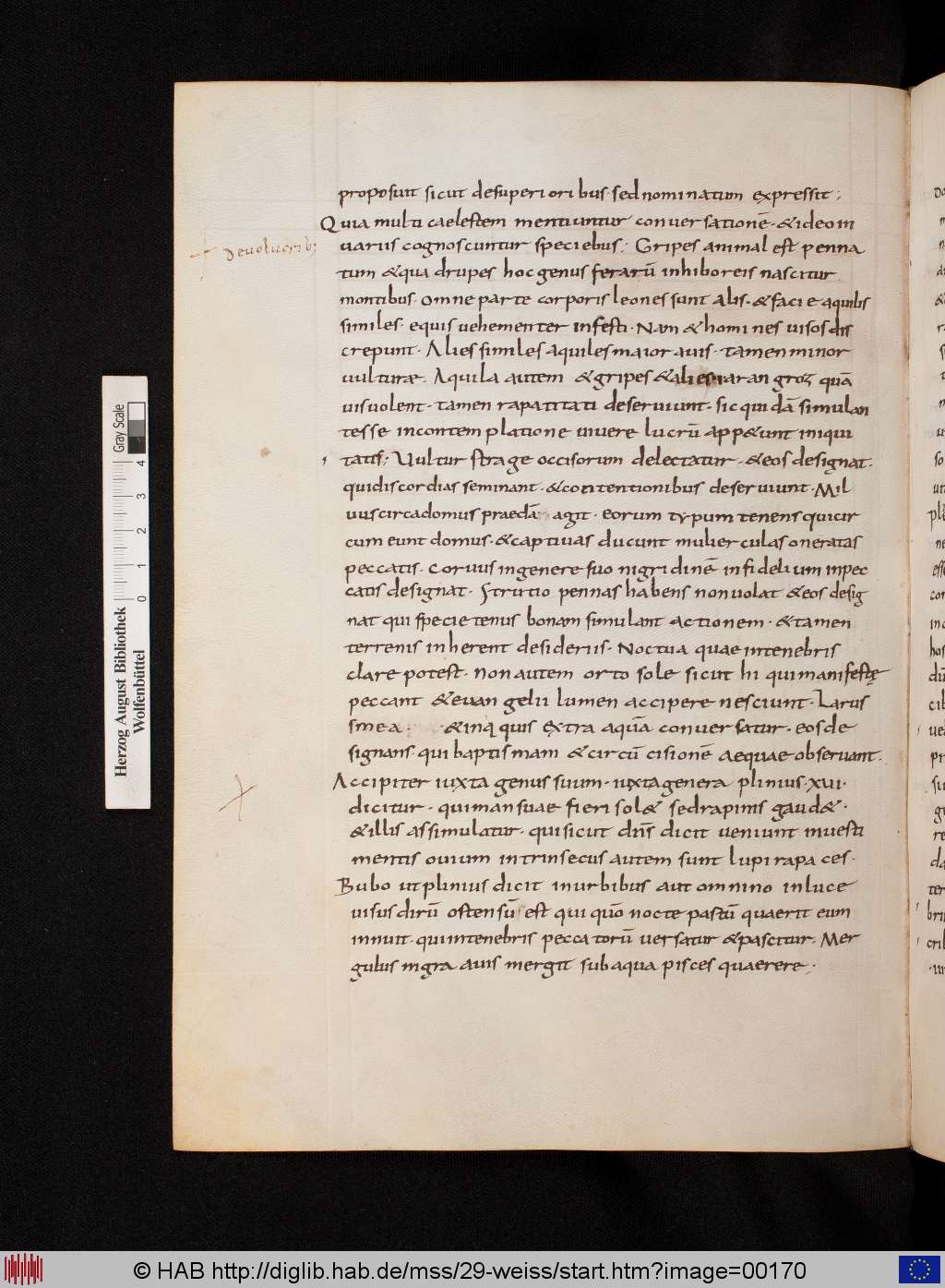 http://diglib.hab.de/mss/29-weiss/00170.jpg