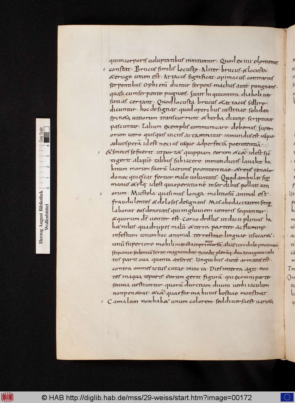 http://diglib.hab.de/mss/29-weiss/00172.jpg