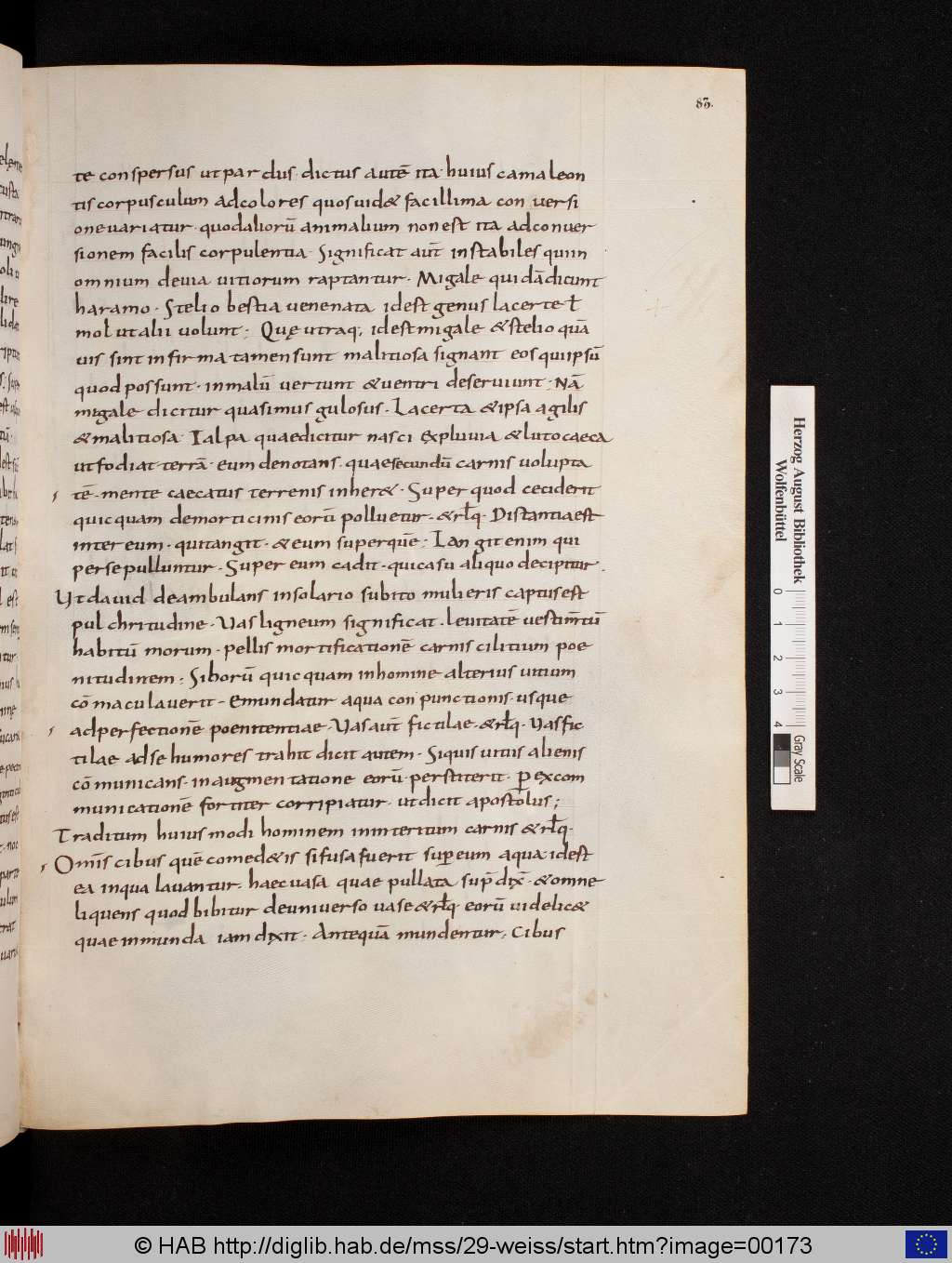 http://diglib.hab.de/mss/29-weiss/00173.jpg