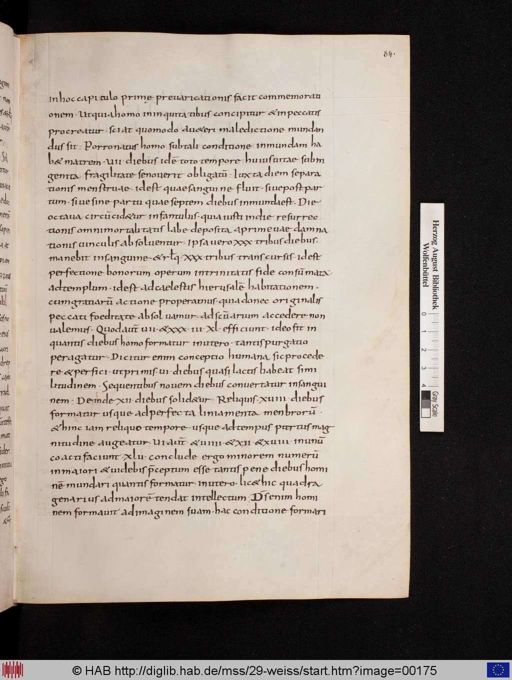 http://diglib.hab.de/mss/29-weiss/00175.jpg