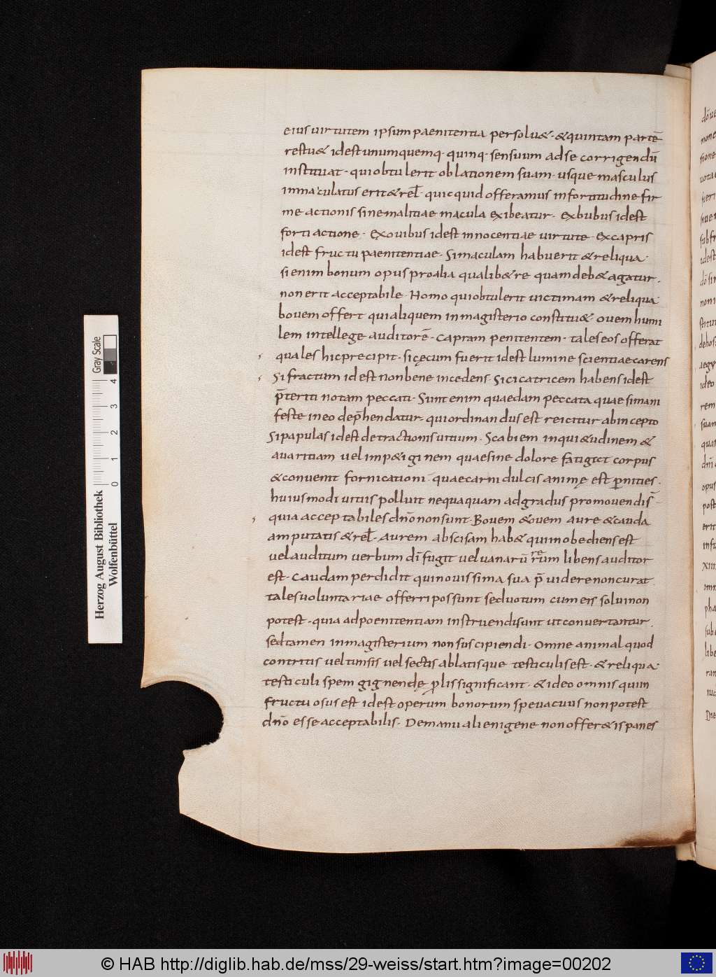 http://diglib.hab.de/mss/29-weiss/00202.jpg