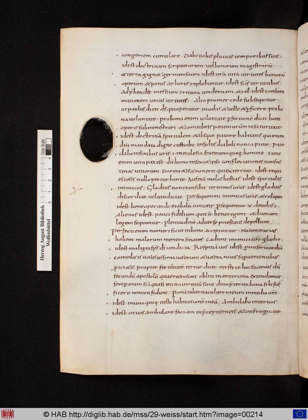 http://diglib.hab.de/mss/29-weiss/00214.jpg