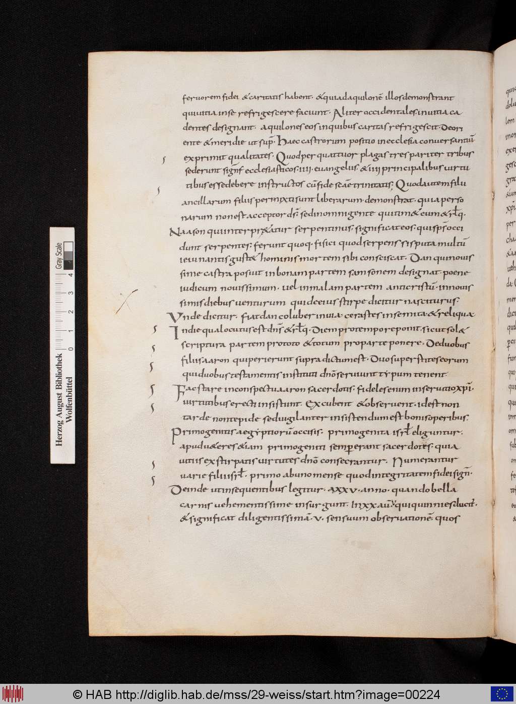 http://diglib.hab.de/mss/29-weiss/00224.jpg