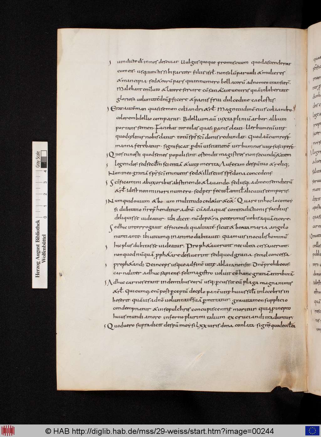 http://diglib.hab.de/mss/29-weiss/00244.jpg