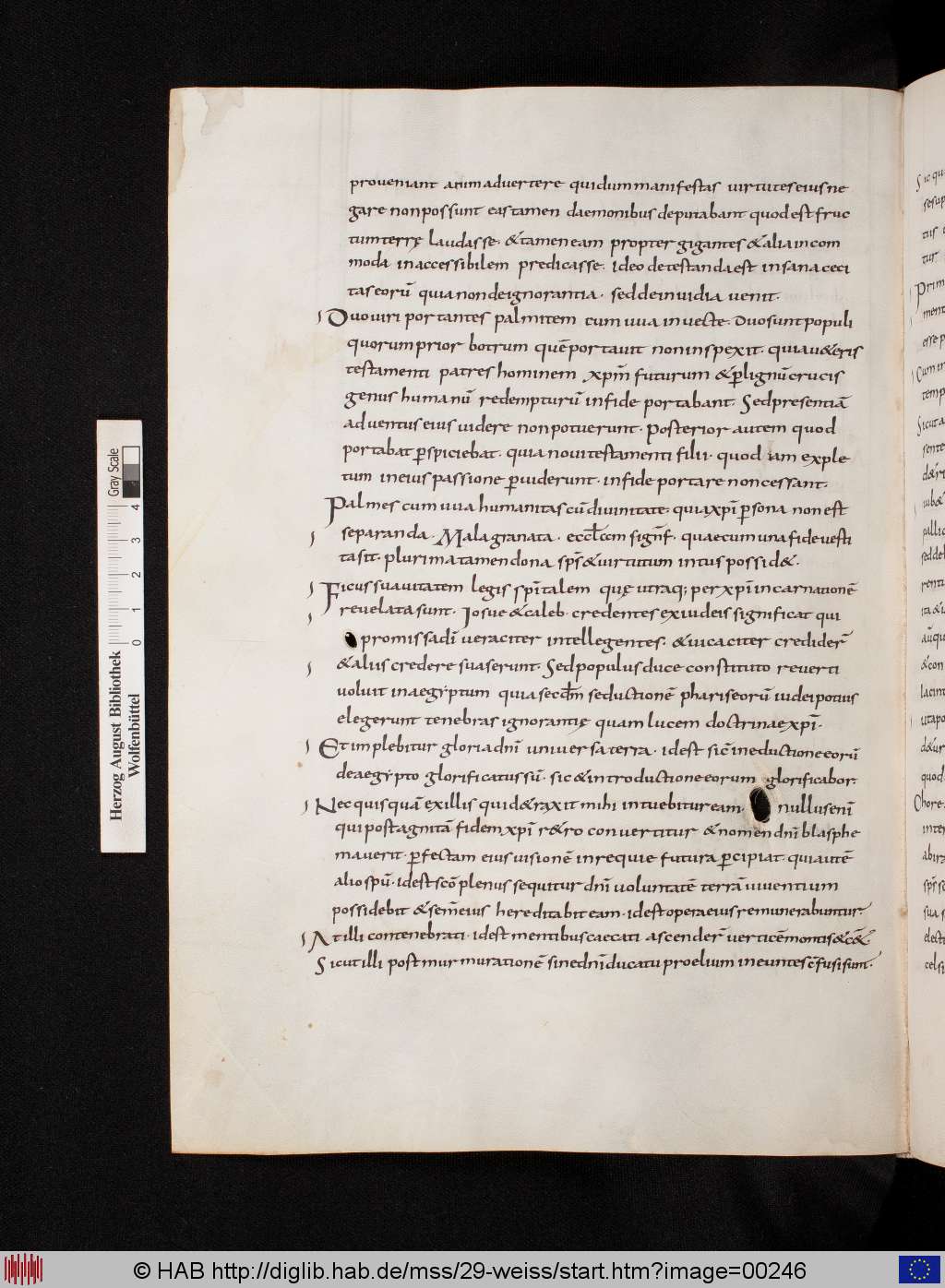 http://diglib.hab.de/mss/29-weiss/00246.jpg