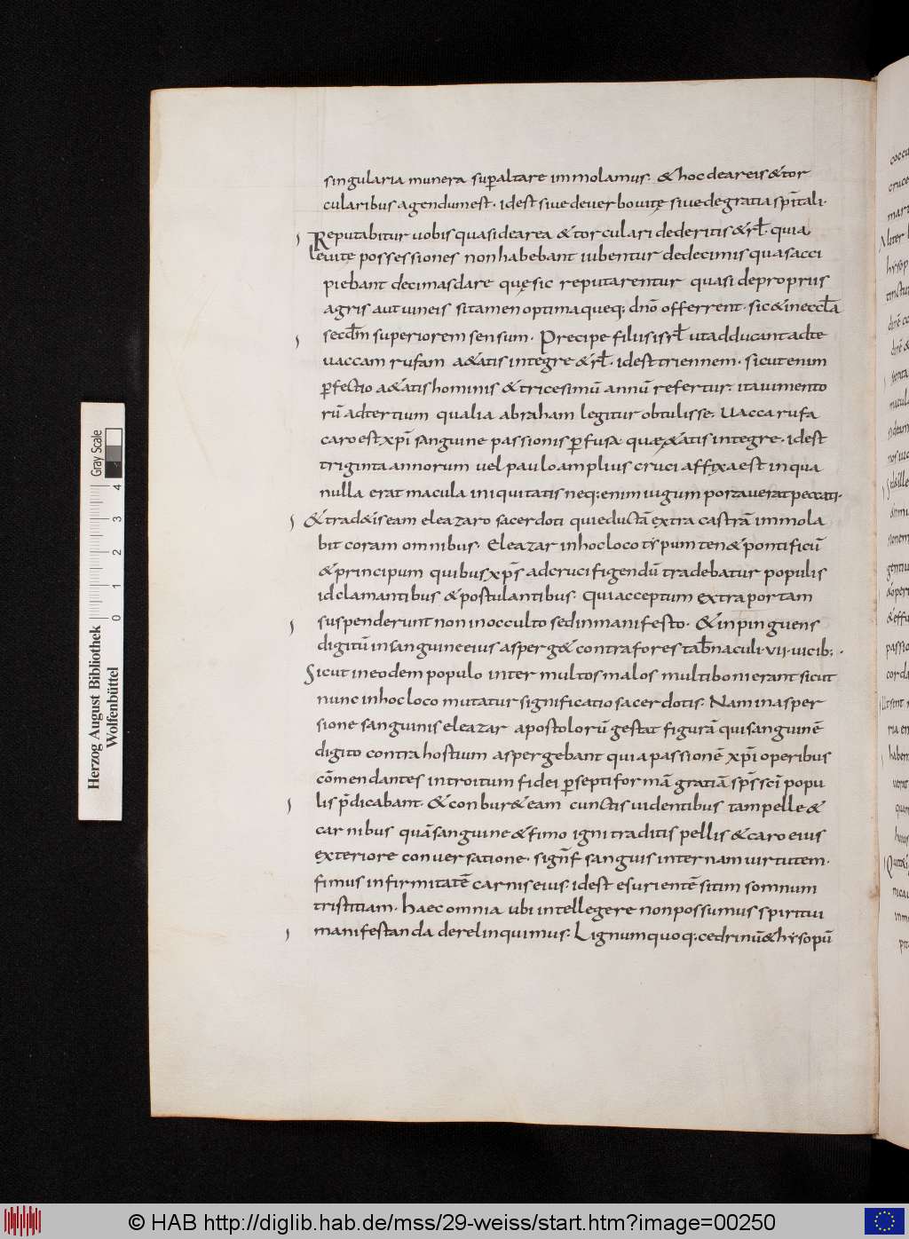 http://diglib.hab.de/mss/29-weiss/00250.jpg