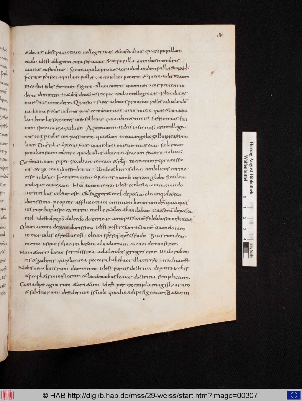 http://diglib.hab.de/mss/29-weiss/00307.jpg