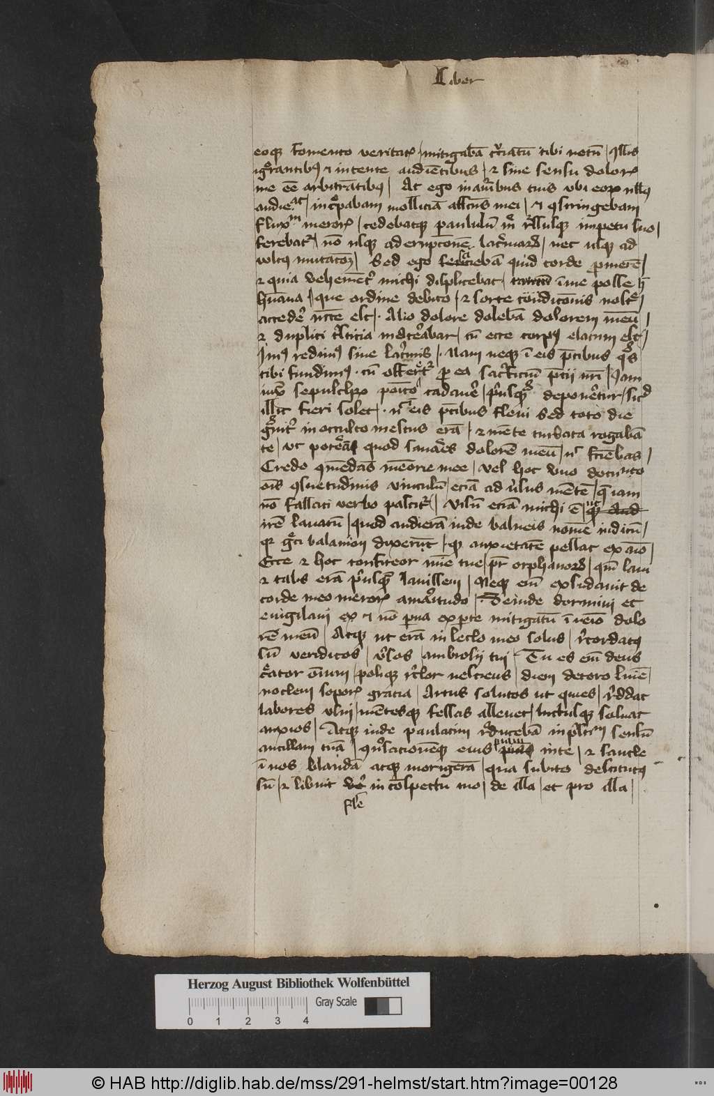 http://diglib.hab.de/mss/291-helmst/00128.jpg