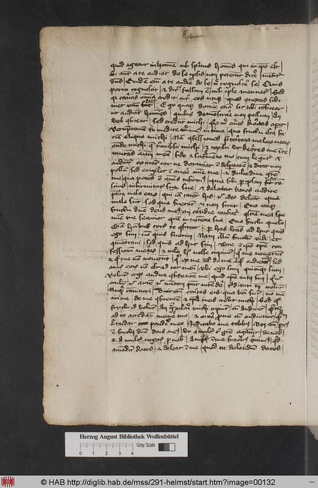 http://diglib.hab.de/mss/291-helmst/00132.jpg