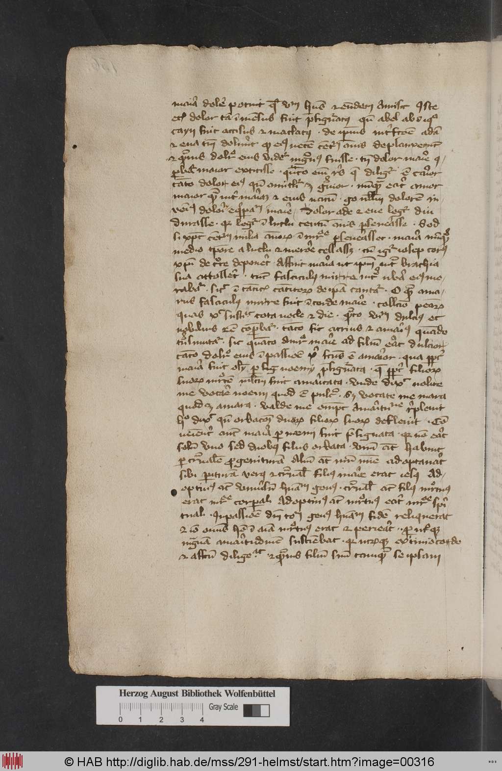 http://diglib.hab.de/mss/291-helmst/00316.jpg