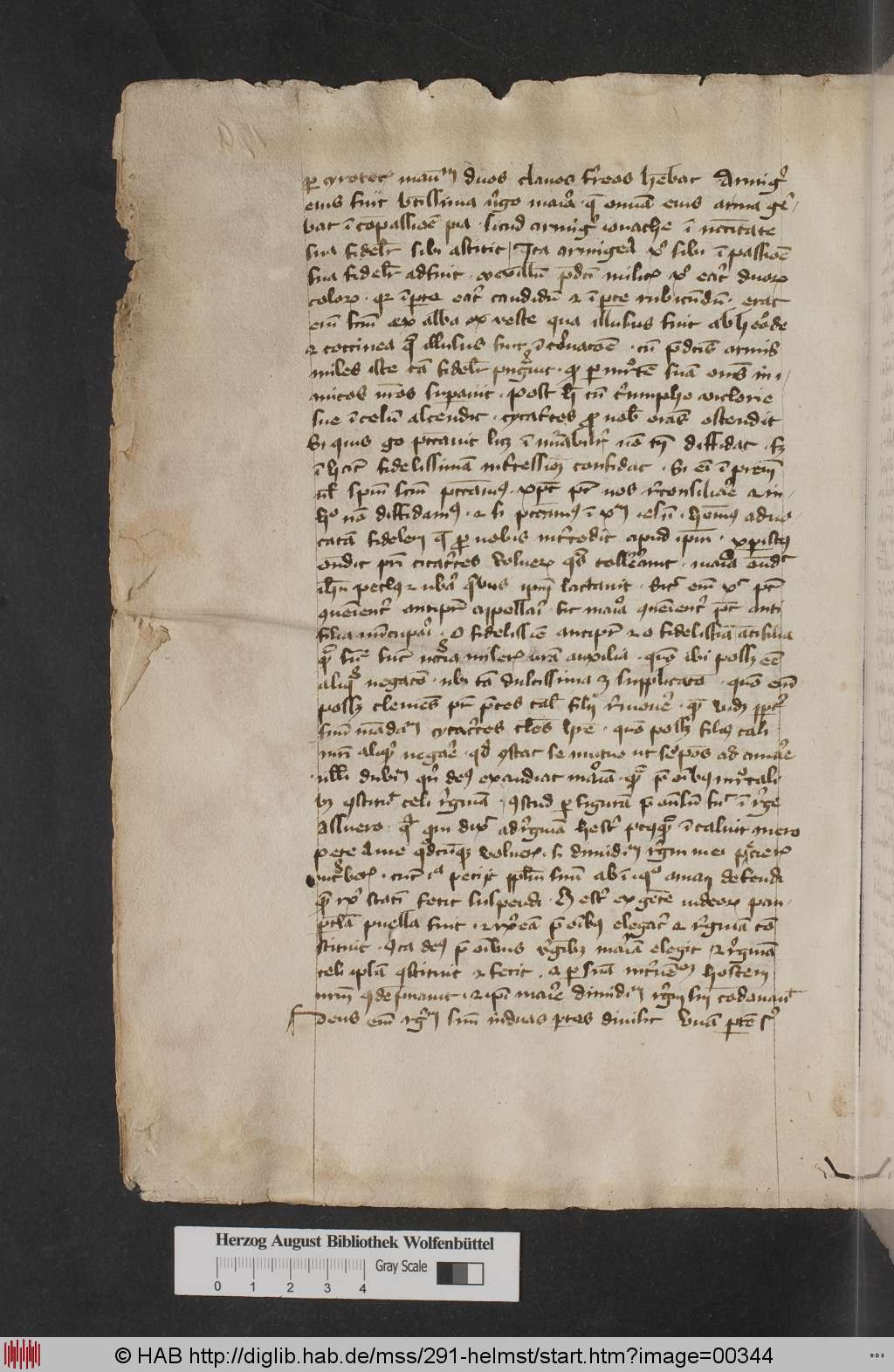 http://diglib.hab.de/mss/291-helmst/00344.jpg