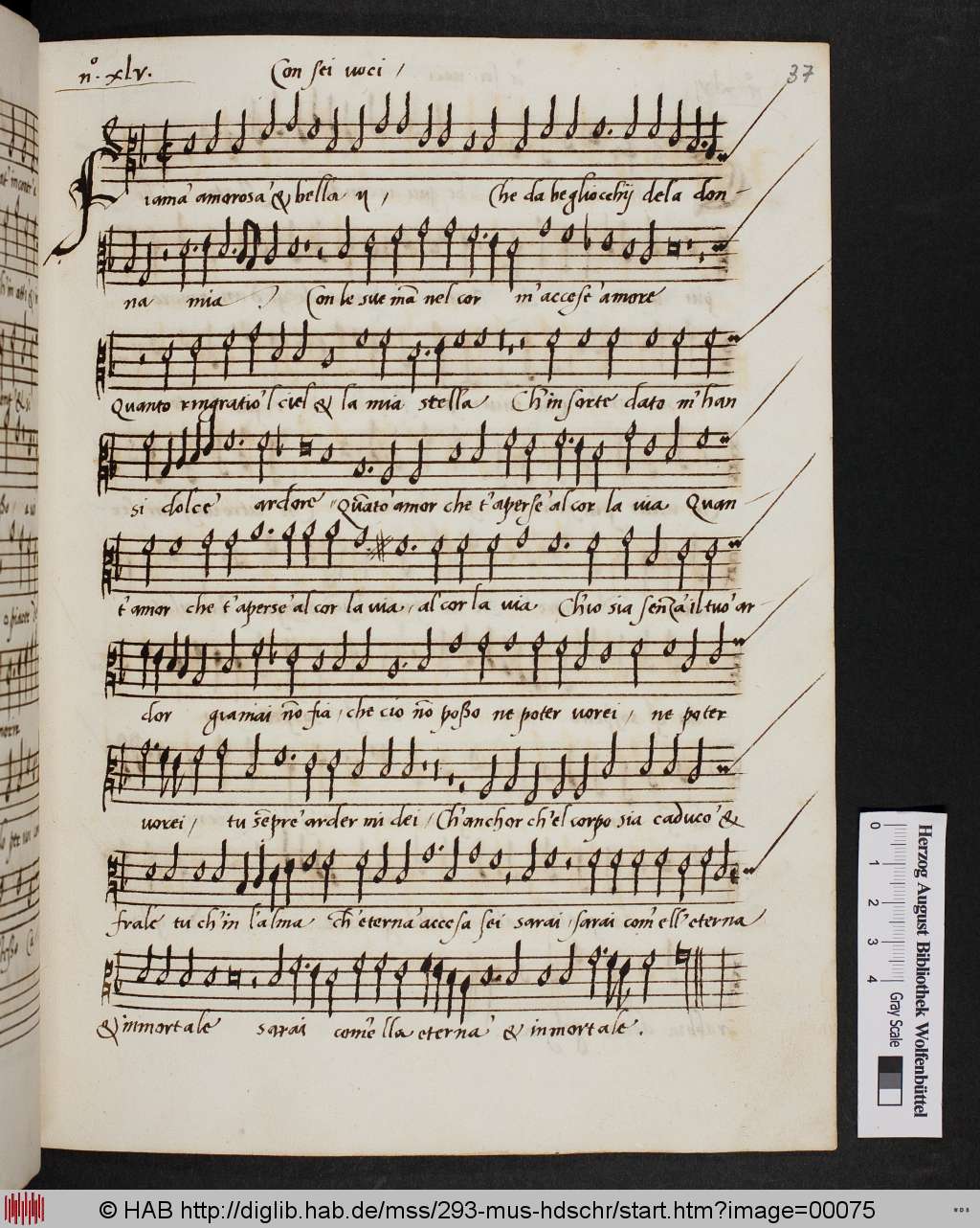 http://diglib.hab.de/mss/293-mus-hdschr/00075.jpg
