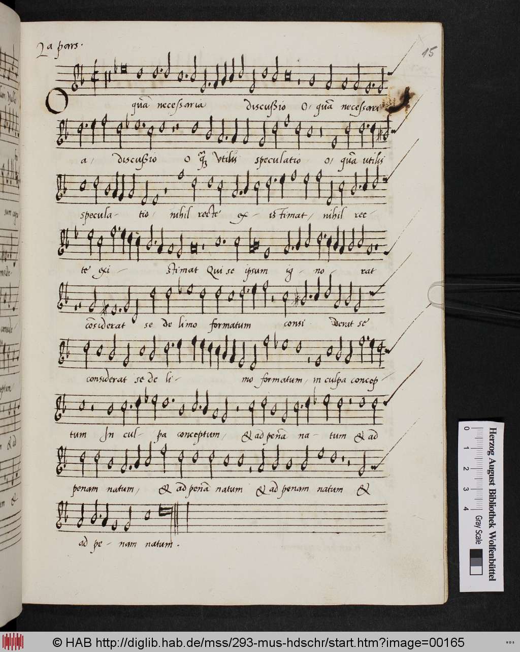 http://diglib.hab.de/mss/293-mus-hdschr/00165.jpg