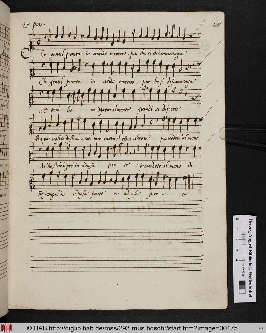 http://diglib.hab.de/mss/293-mus-hdschr/00175.jpg
