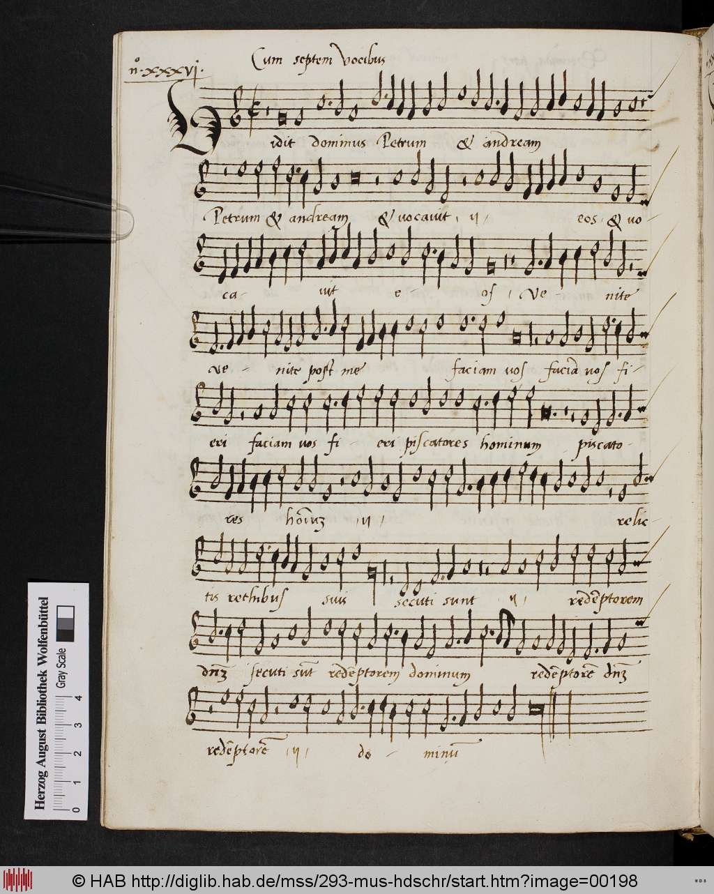 http://diglib.hab.de/mss/293-mus-hdschr/00198.jpg