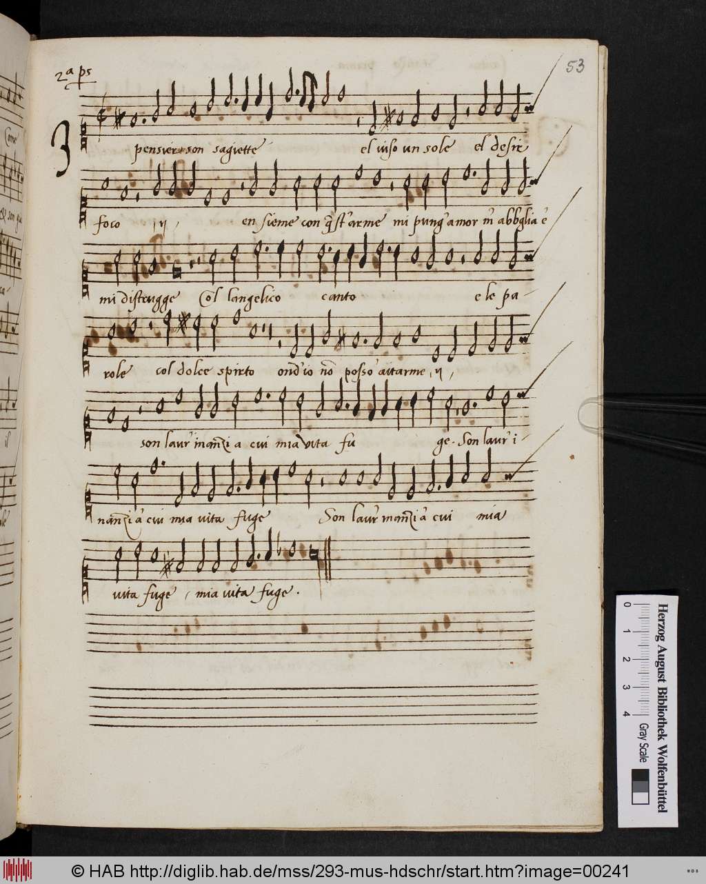 http://diglib.hab.de/mss/293-mus-hdschr/00241.jpg
