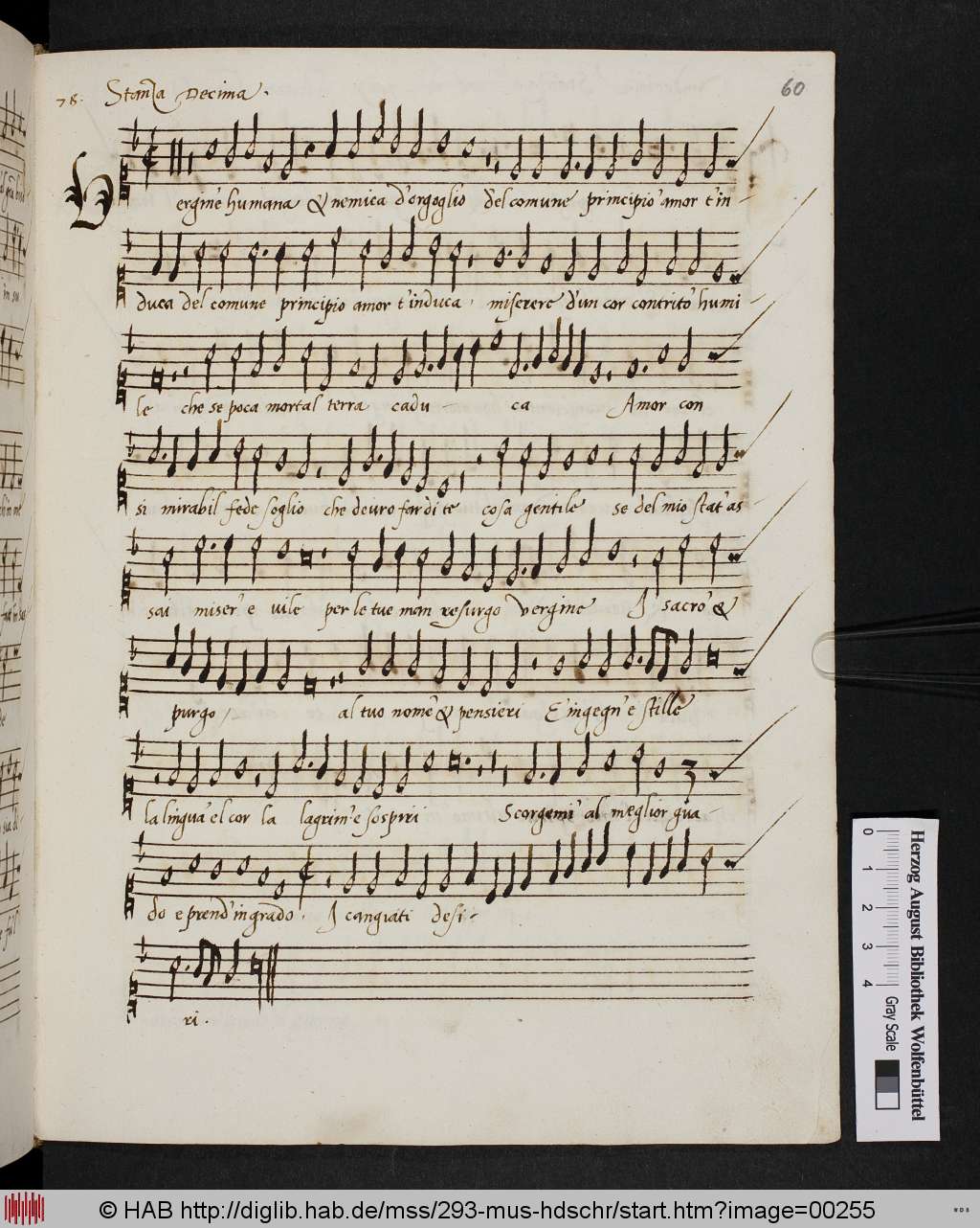 http://diglib.hab.de/mss/293-mus-hdschr/00255.jpg