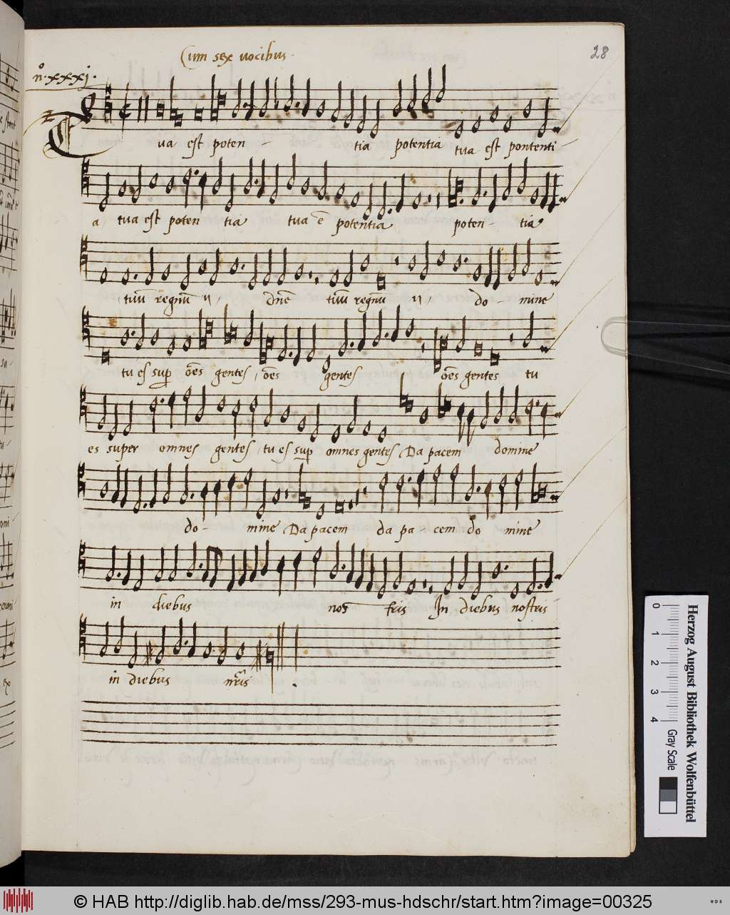 http://diglib.hab.de/mss/293-mus-hdschr/00325.jpg