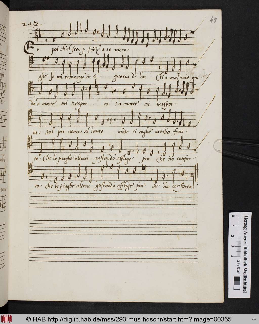 http://diglib.hab.de/mss/293-mus-hdschr/00365.jpg