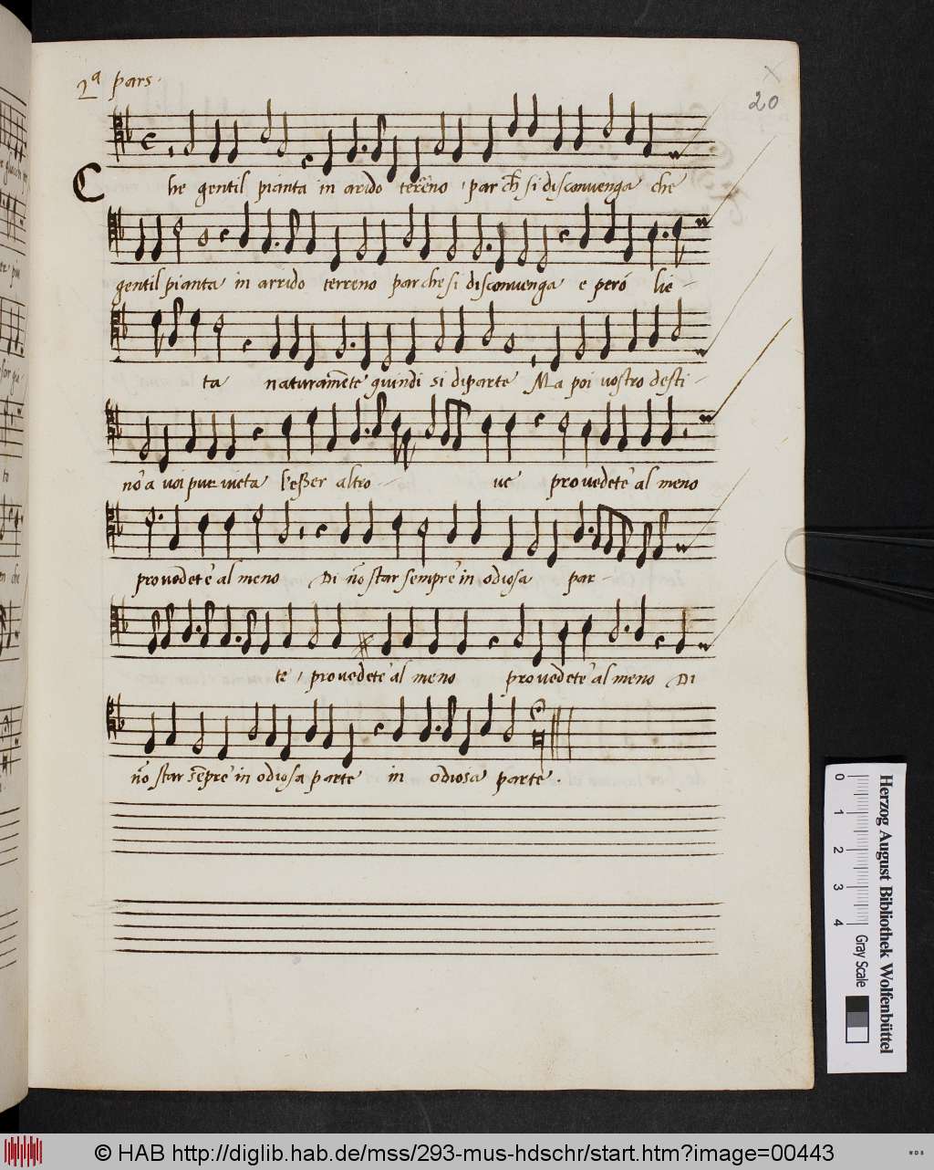 http://diglib.hab.de/mss/293-mus-hdschr/00443.jpg