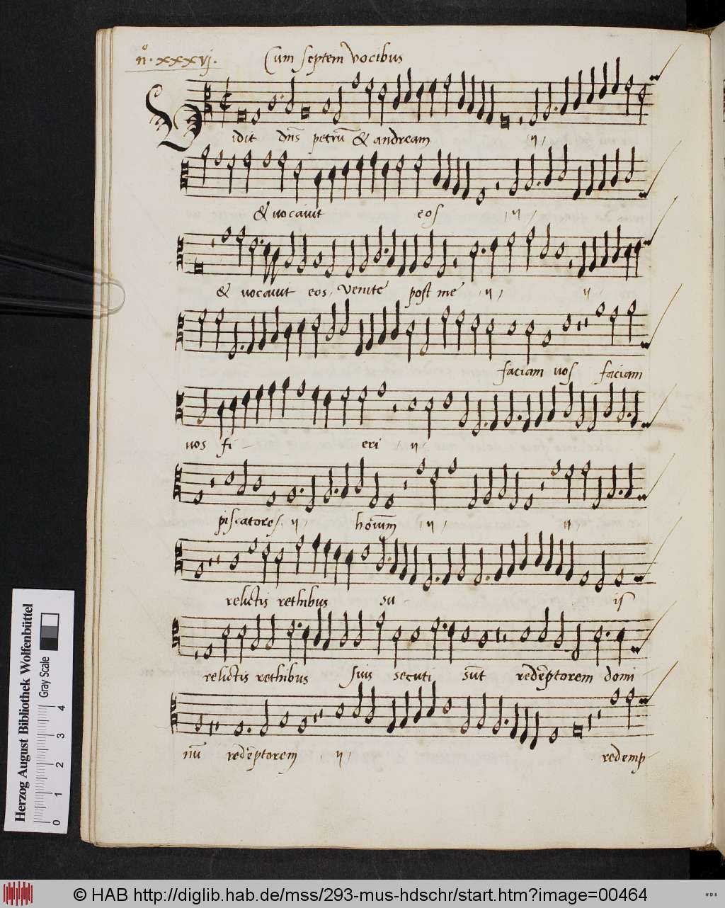http://diglib.hab.de/mss/293-mus-hdschr/00464.jpg