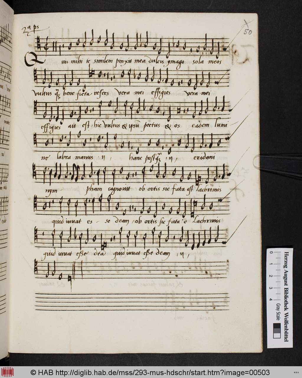 http://diglib.hab.de/mss/293-mus-hdschr/00503.jpg
