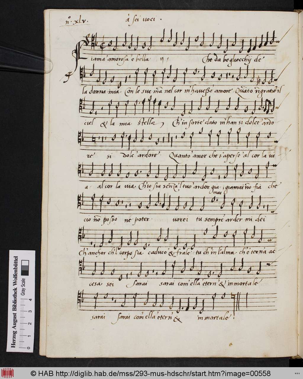 http://diglib.hab.de/mss/293-mus-hdschr/00558.jpg