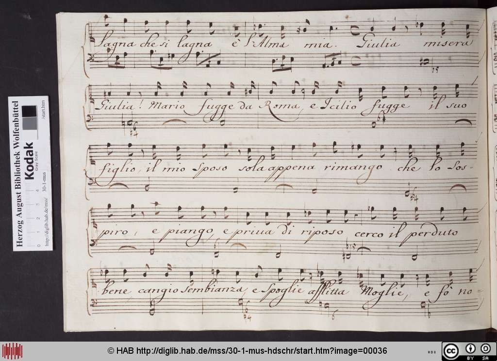 http://diglib.hab.de/mss/30-1-mus-hdschr/00036.jpg