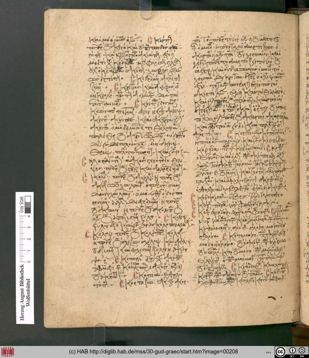 http://diglib.hab.de/mss/30-gud-graec/00208.jpg
