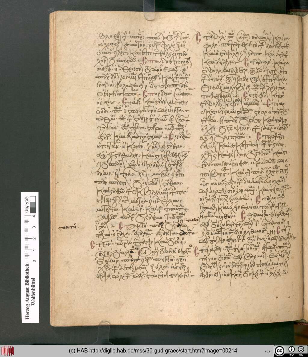 http://diglib.hab.de/mss/30-gud-graec/00214.jpg
