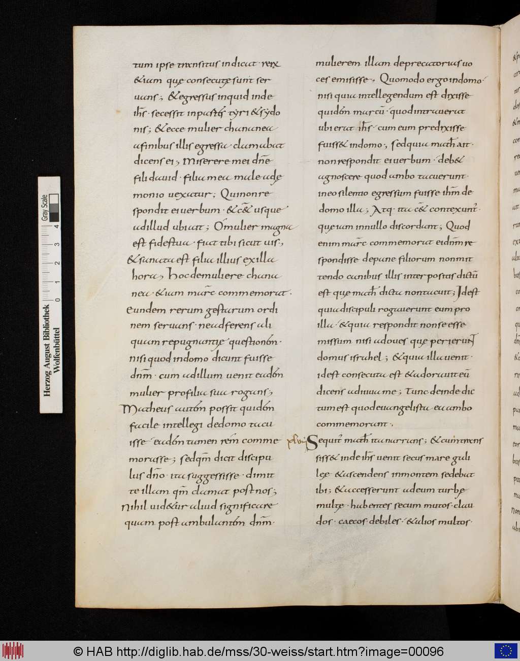 http://diglib.hab.de/mss/30-weiss/00096.jpg