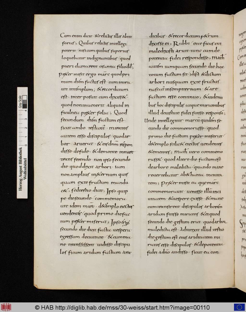 http://diglib.hab.de/mss/30-weiss/00110.jpg