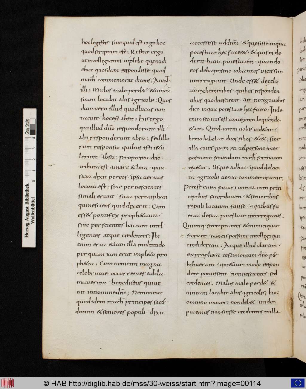 http://diglib.hab.de/mss/30-weiss/00114.jpg