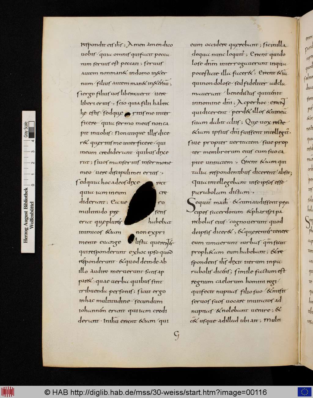 http://diglib.hab.de/mss/30-weiss/00116.jpg
