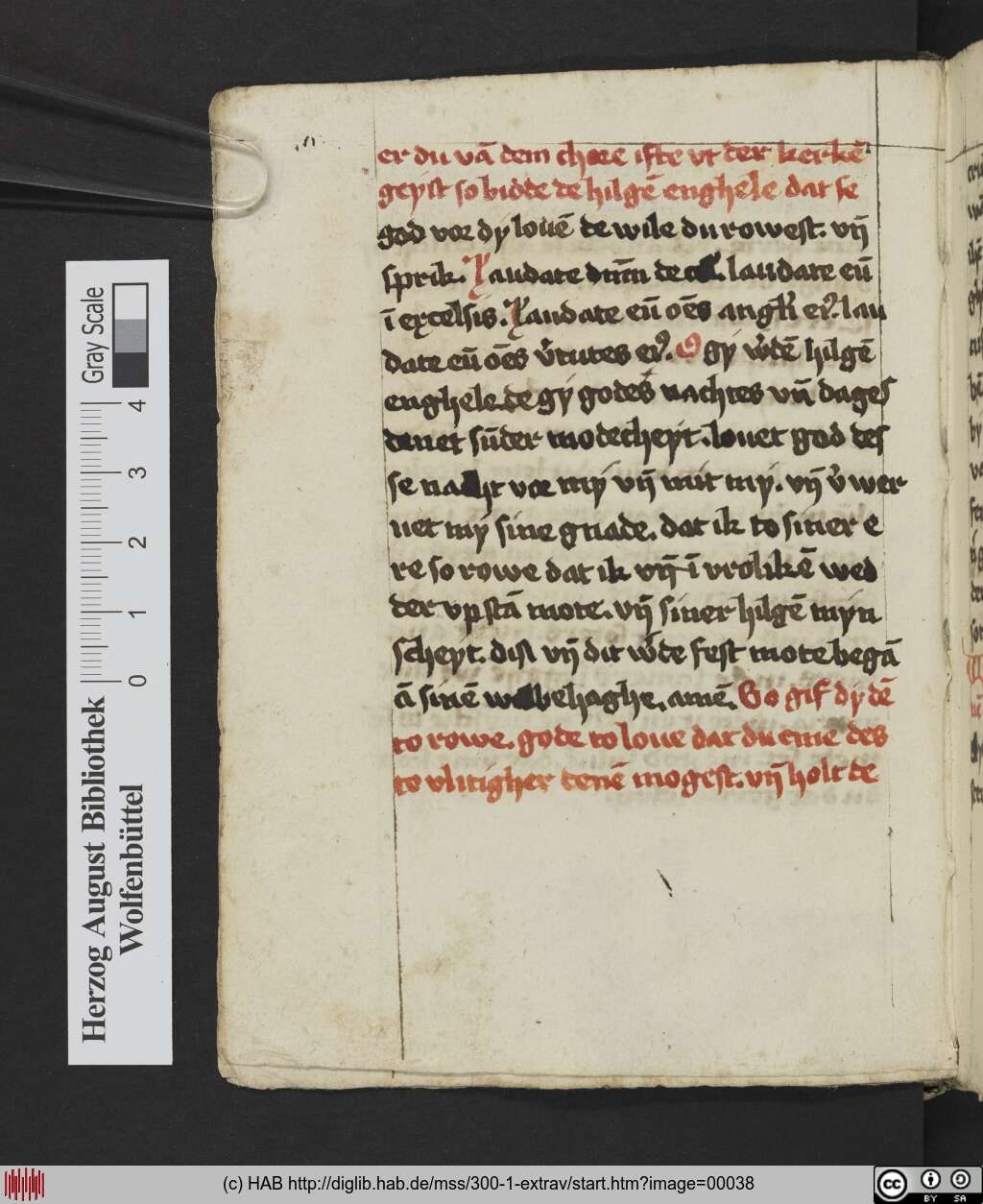 http://diglib.hab.de/mss/300-1-extrav/00038.jpg