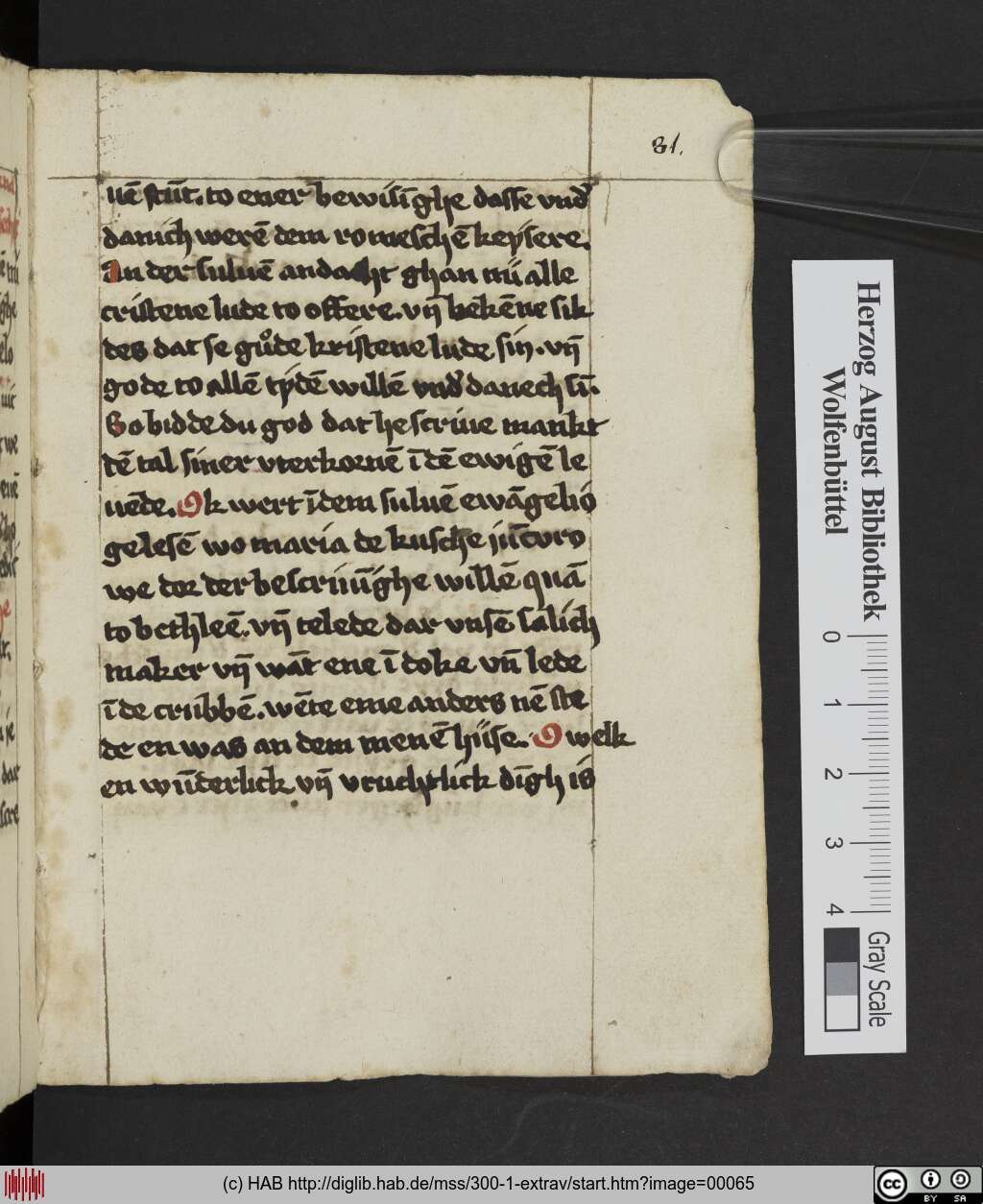 http://diglib.hab.de/mss/300-1-extrav/00065.jpg