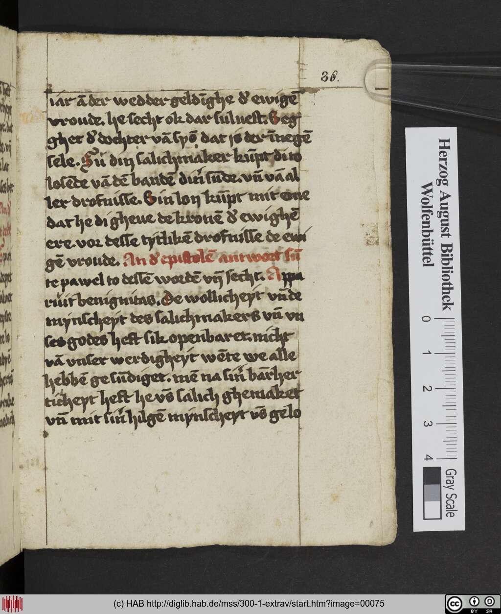 http://diglib.hab.de/mss/300-1-extrav/00075.jpg