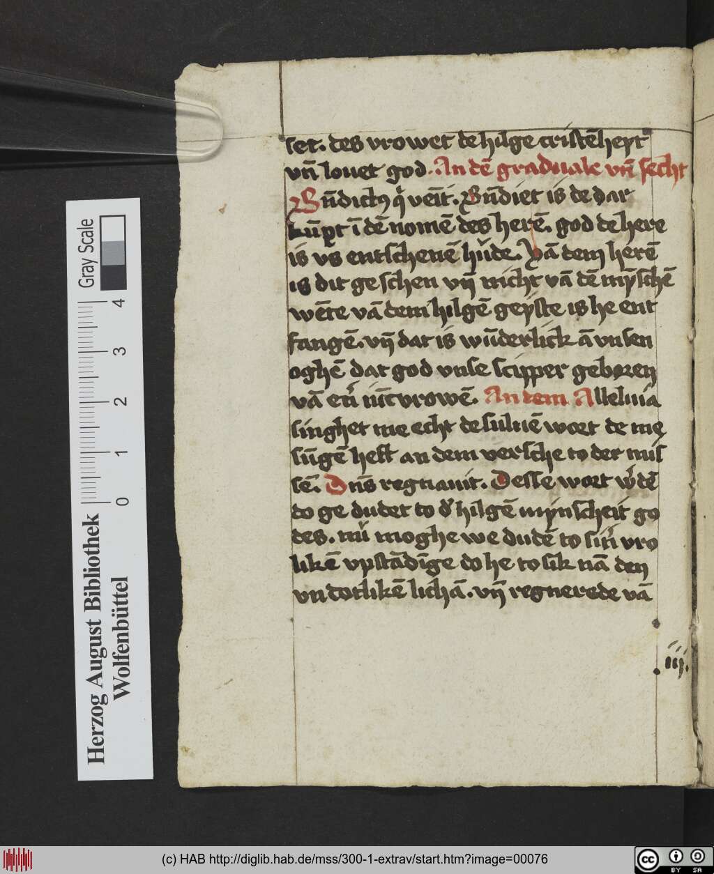 http://diglib.hab.de/mss/300-1-extrav/00076.jpg