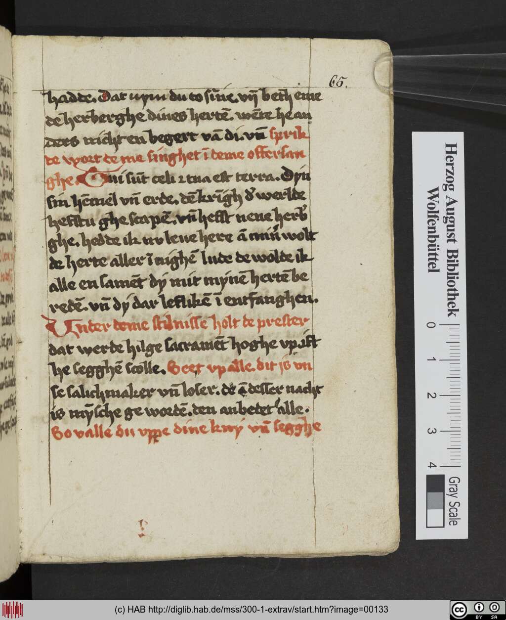 http://diglib.hab.de/mss/300-1-extrav/00133.jpg