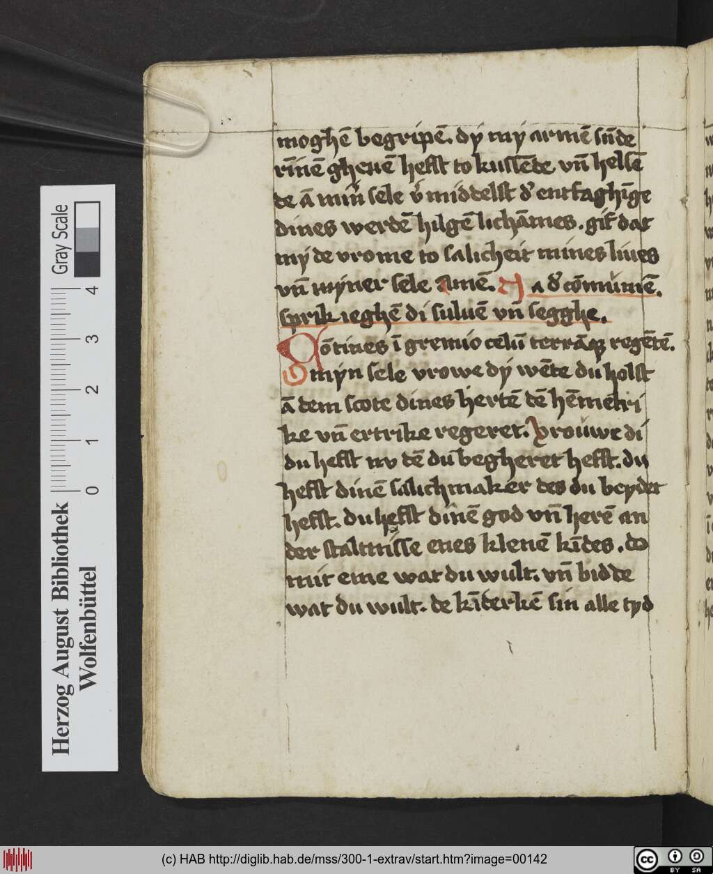 http://diglib.hab.de/mss/300-1-extrav/00142.jpg