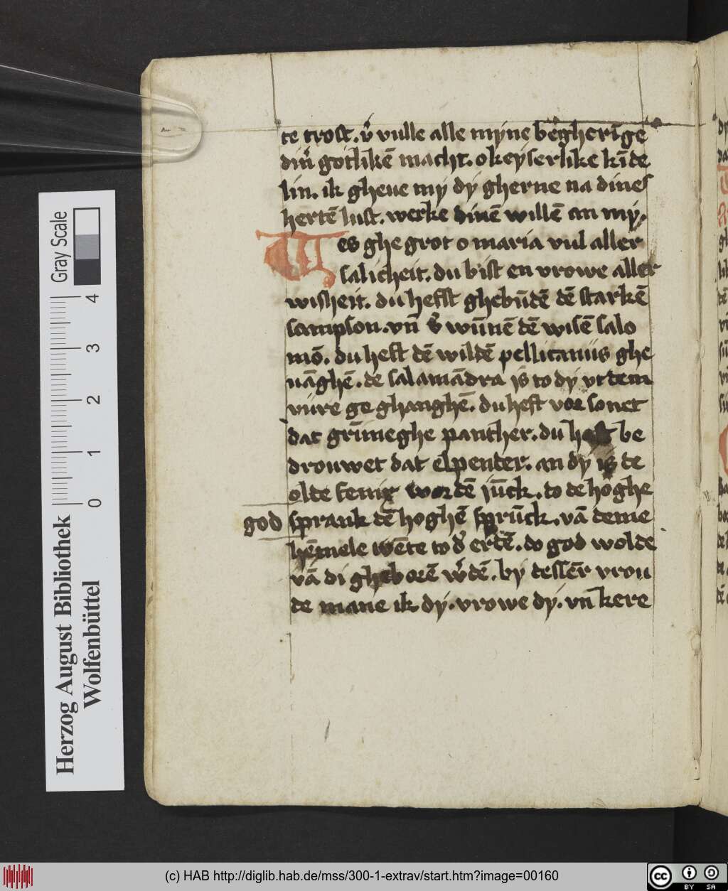 http://diglib.hab.de/mss/300-1-extrav/00160.jpg