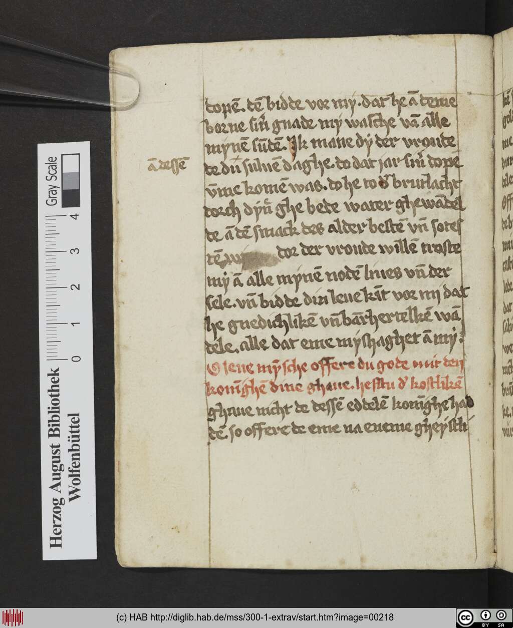 http://diglib.hab.de/mss/300-1-extrav/00218.jpg