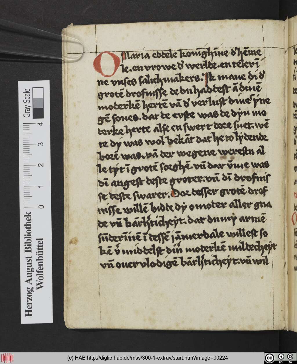 http://diglib.hab.de/mss/300-1-extrav/00224.jpg
