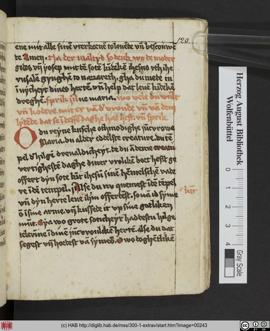 http://diglib.hab.de/mss/300-1-extrav/00243.jpg