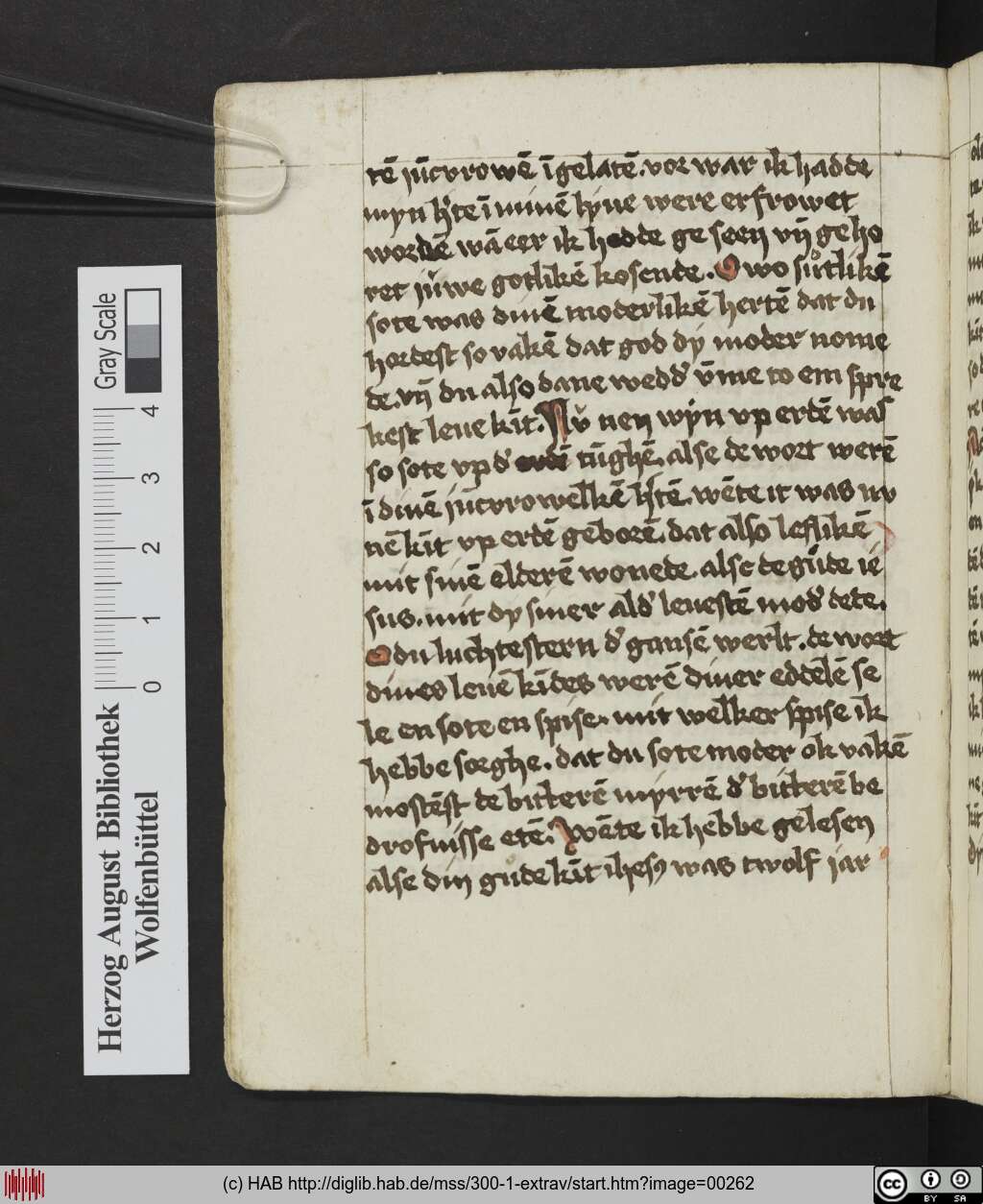 http://diglib.hab.de/mss/300-1-extrav/00262.jpg
