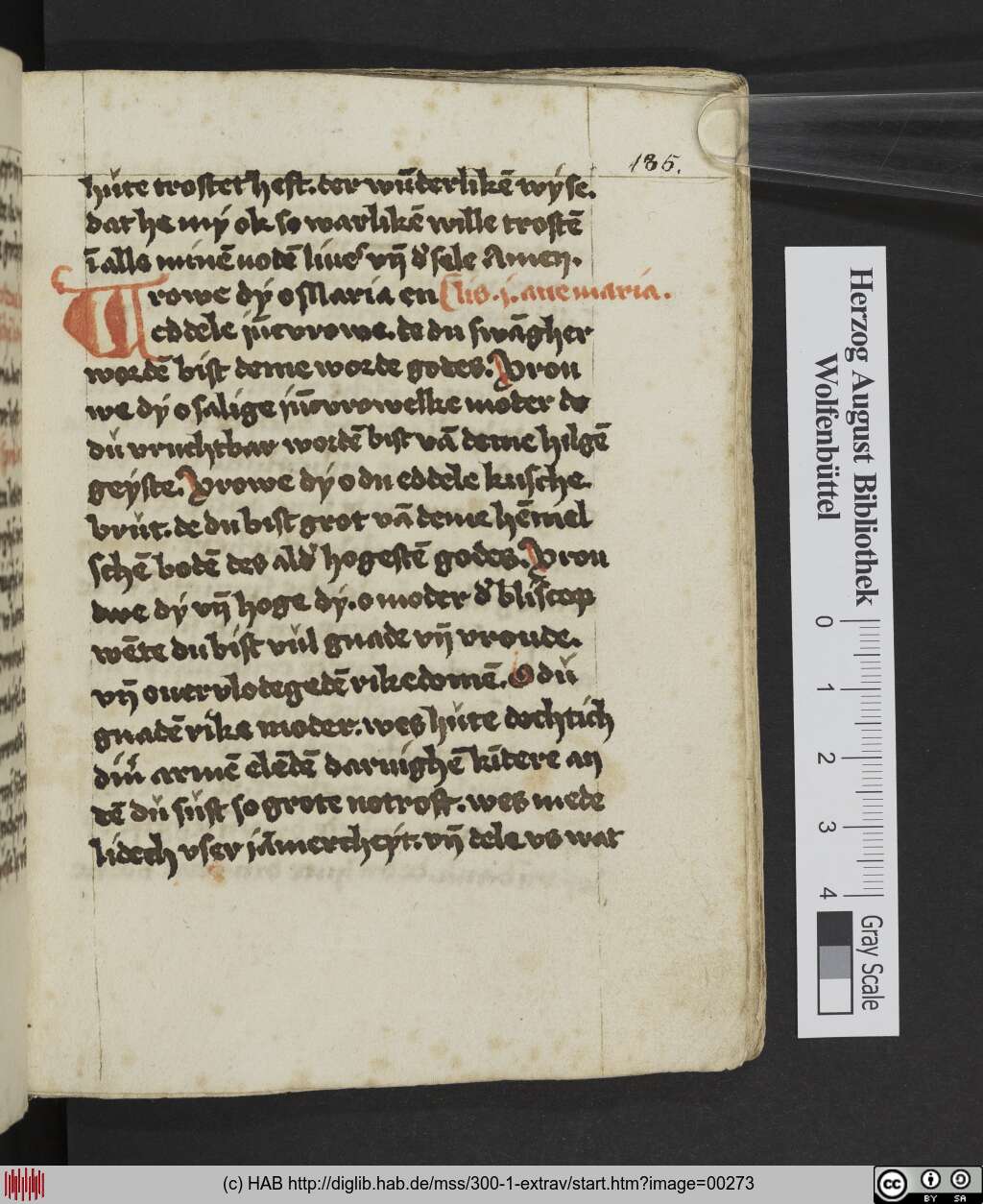 http://diglib.hab.de/mss/300-1-extrav/00273.jpg