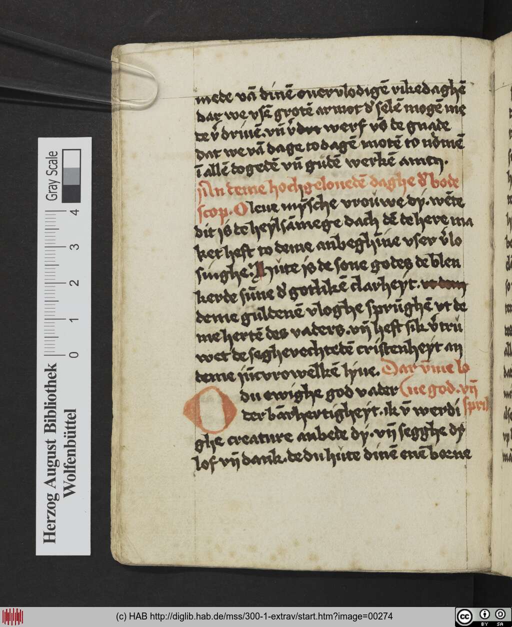 http://diglib.hab.de/mss/300-1-extrav/00274.jpg