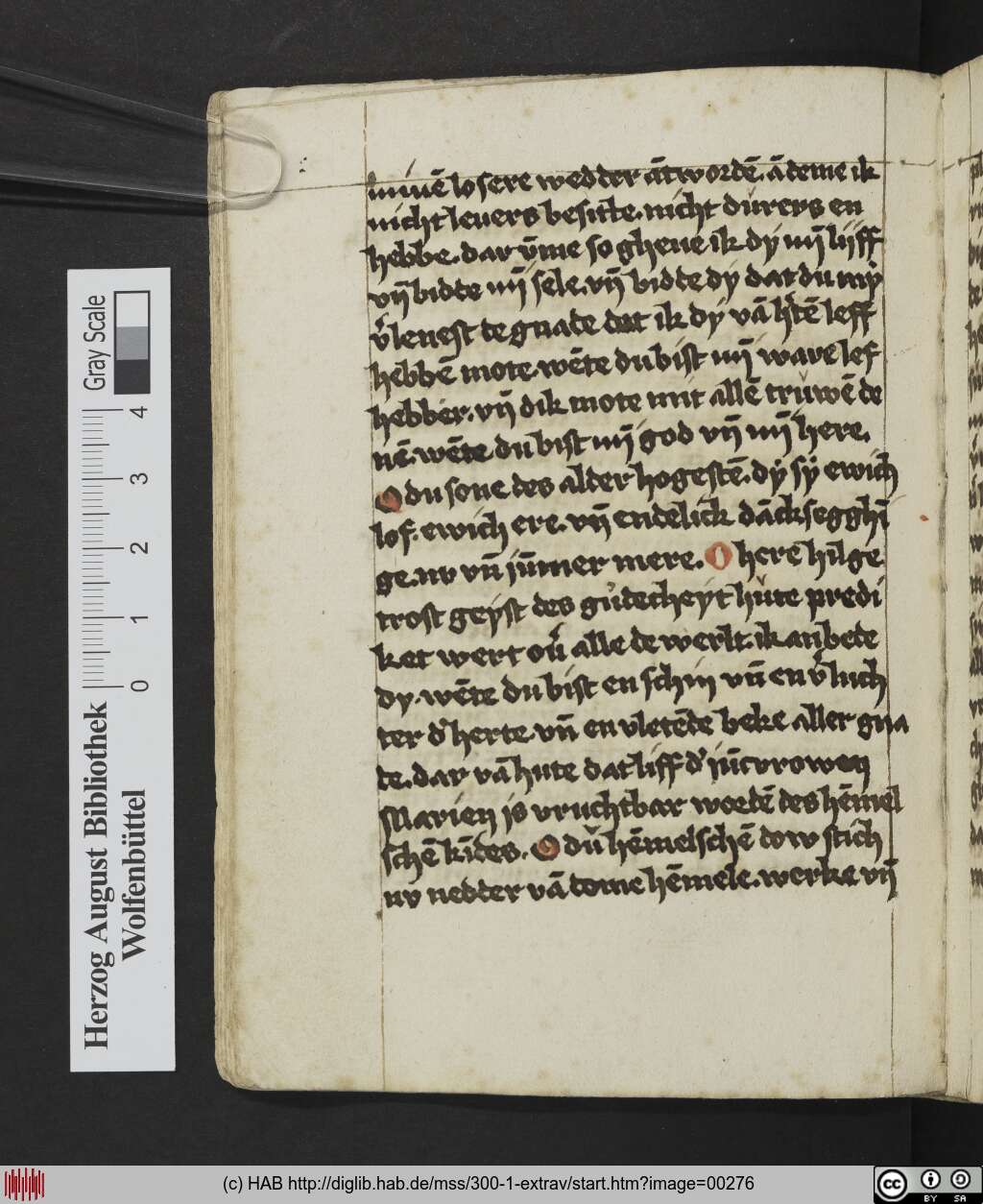 http://diglib.hab.de/mss/300-1-extrav/00276.jpg