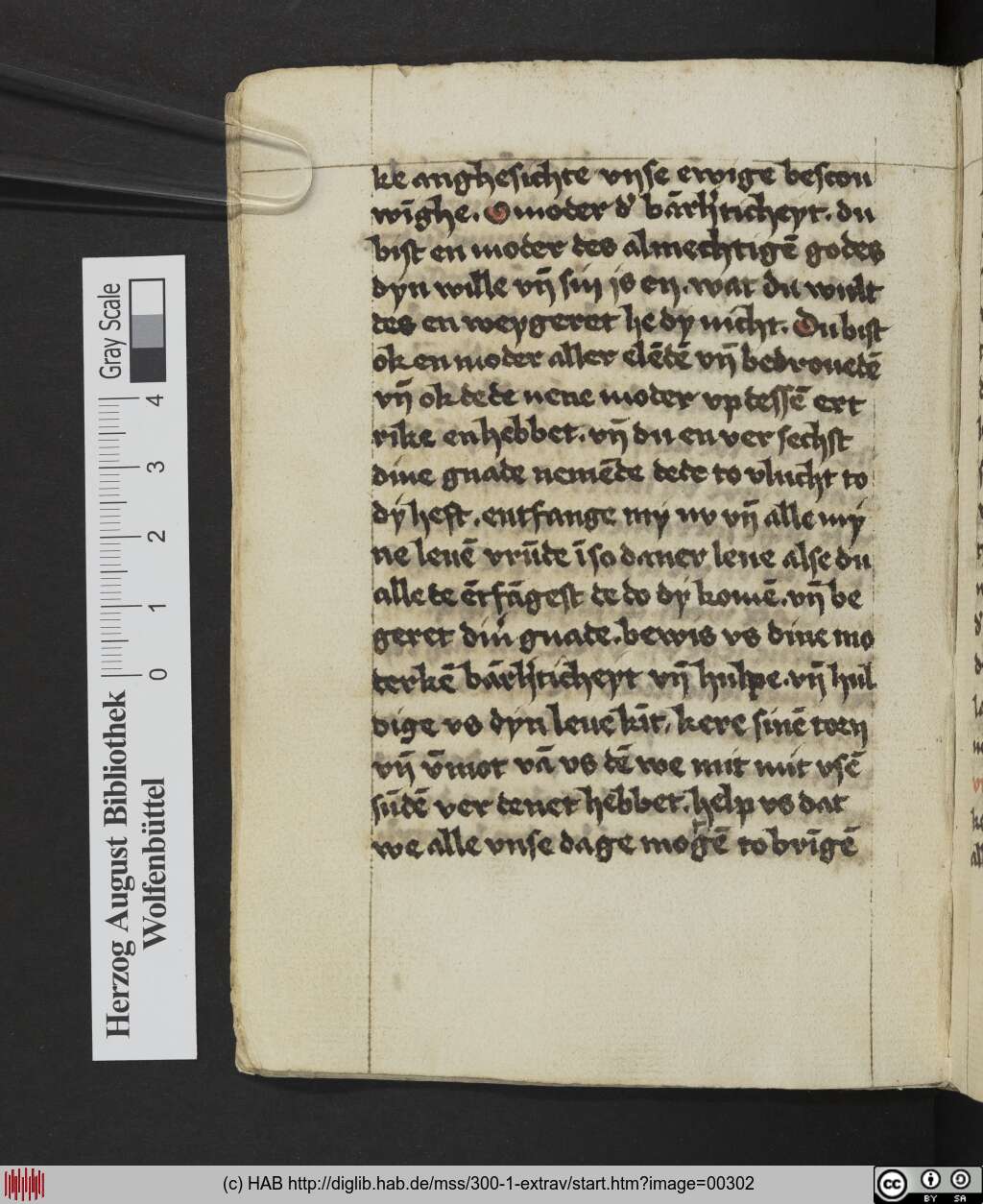 http://diglib.hab.de/mss/300-1-extrav/00302.jpg